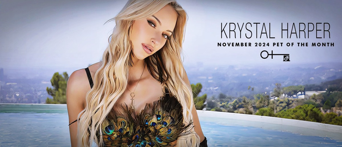 Krystal Harper Preiss: Penthouse Pet of the Month November 2024 Blonde Super Slender Busty Bombshell